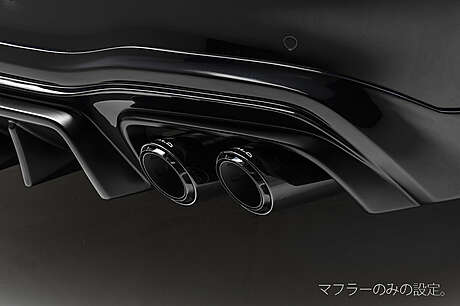 Exhaust System WALD Black Bison for Mercedes S W223 (original, Japan)