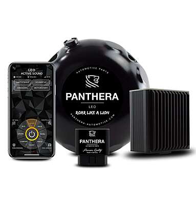 PANTHERA LEO ACTIVE SOUND
