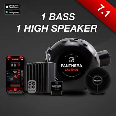 PANTHERA LEO ACTIVE SOUND 1 BASS SPEAKER + 1 HIGH SPEAKER