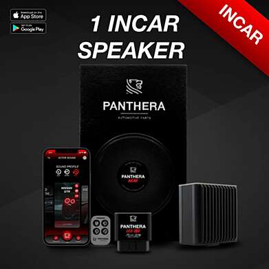 PANTHERA LEO ACTIVE SOUND 1 INCAR SPEAKER
