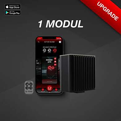 PANTHERA LEO ACTIVE SOUND UPGRADE MODULE