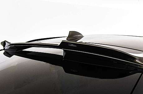 Trunk lid spoiler AC Schnitzer 5131306310-AC for BMW X6 G06 (original, Germany)